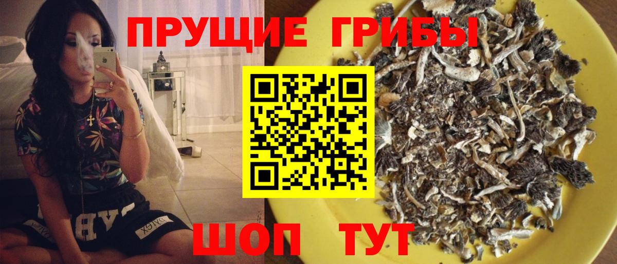 Псилоцибиновые грибы Psilocybine cubensis Калач-на-Дону