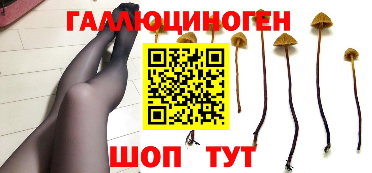 Галлюциногенные грибы MAGIC MUSHROOMS  Псилоцибиновые грибы Magic Shrooms  Калач-на-Дону  Вход с VPN 